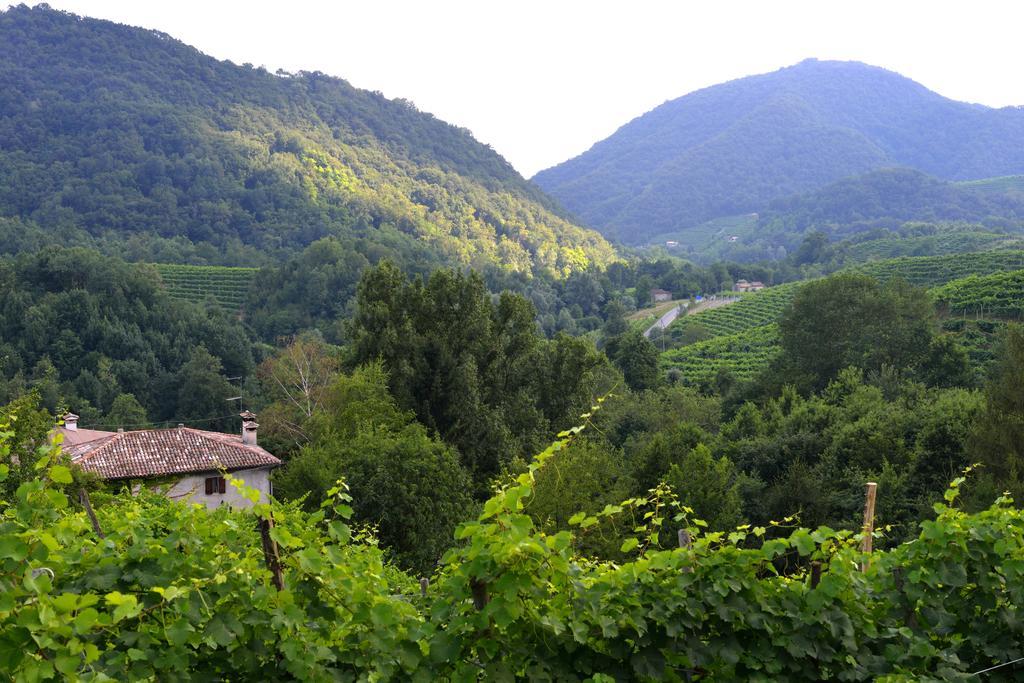 B&B Casa Di Campagna Miane Стая снимка